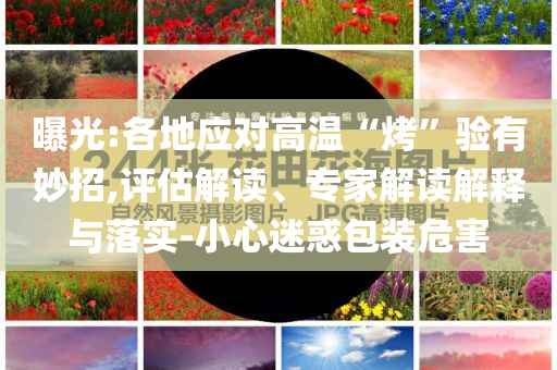 印度外长将访华 要谈什么行业释义、专家解读解释与落实​,抵制不实广告