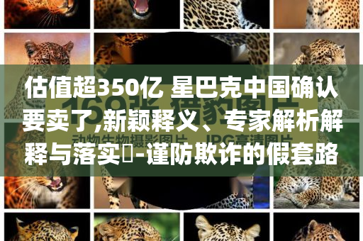 聊斋鲁公女篇黄泉夺爱催泪,科技释义、专家解析解释与落实​-拒绝虚假渲染陷阱
