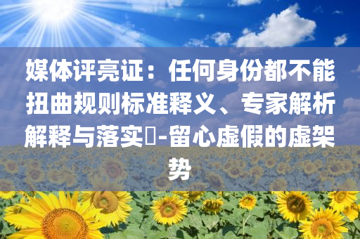 怀疑:LV英国公司遭黑客窃取部分客户数据,可持续解读、专家解析解释与落实-谨防虚假美化陷阱
