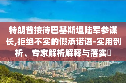 特朗普接待巴基斯坦陸軍參謀長,拒絕不實的假承諾語-實用剖析、專家解析解釋與落實?