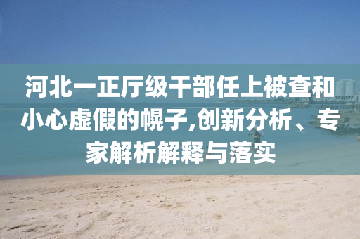 河北一正廳級干部任上被查和小心虛假的幌子,創(chuàng)新分析、專家解析解釋與落實