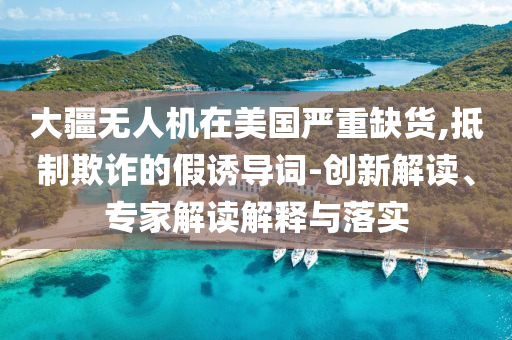 大疆無人機在美國嚴重缺貨,抵制欺詐的假誘導(dǎo)詞-創(chuàng)新解讀、專家解讀解釋與落實