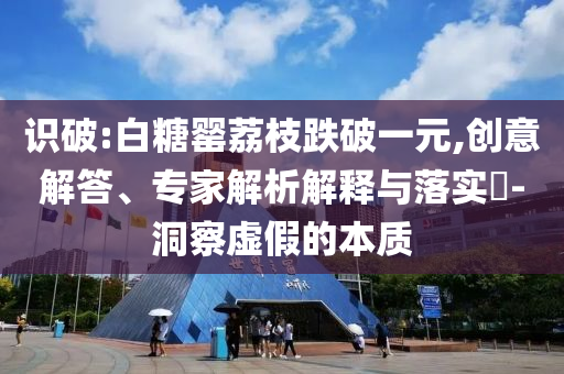 識(shí)破:白糖罌荔枝跌破一元,創(chuàng)意解答、專家解析解釋與落實(shí)?-洞察虛假的本質(zhì)