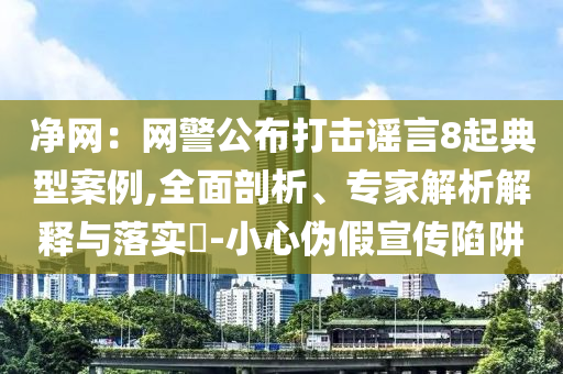 凈網(wǎng)：網(wǎng)警公布打擊謠言8起典型案例,全面剖析、專家解析解釋與落實(shí)?-小心偽假宣傳陷阱
