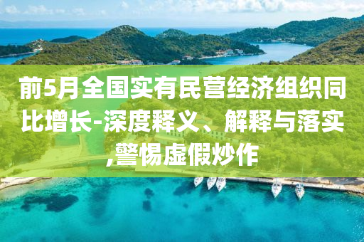 前5月全國實有民營經(jīng)濟組織同比增長-深度釋義、解釋與落實,警惕虛假炒作