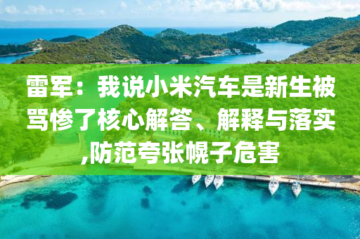雷軍：我說小米汽車是新生被罵慘了核心解答、解釋與落實(shí),防范夸張幌子危害