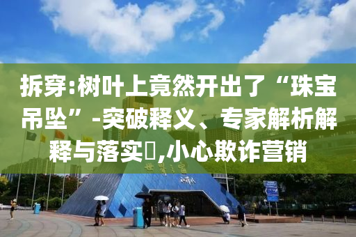 拆穿:樹(shù)葉上竟然開(kāi)出了“珠寶吊墜”-突破釋義、專家解析解釋與落實(shí)?,小心欺詐營(yíng)銷