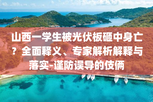 山西一學(xué)生被光伏板砸中身亡？全面釋義、專家解析解釋與落實-謹(jǐn)防誤導(dǎo)的伎倆