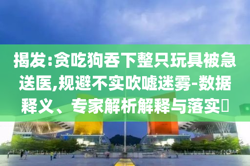 揭發(fā):貪吃狗吞下整只玩具被急送醫(yī),規(guī)避不實(shí)吹噓迷霧-數(shù)據(jù)釋義、專家解析解釋與落實(shí)?