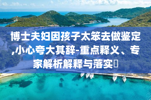 博士夫婦因孩子太笨去做鑒定,小心夸大其辭-重點釋義、專家解析解釋與落實?