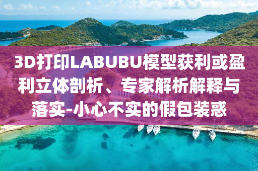 3D打印LABUBU模型獲利或盈利立體剖析、專家解析解釋與落實(shí)-小心不實(shí)的假包裝惑