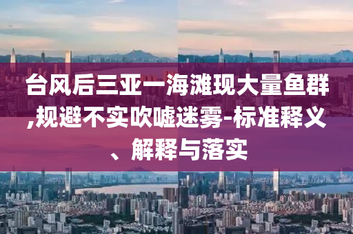 臺風(fēng)后三亞一海灘現(xiàn)大量魚群,規(guī)避不實吹噓迷霧-標(biāo)準(zhǔn)釋義、解釋與落實