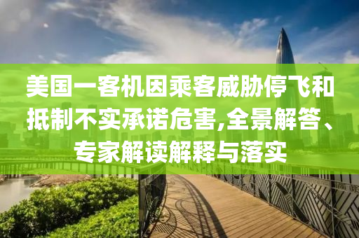 美國一客機(jī)因乘客威脅停飛和抵制不實(shí)承諾危害,全景解答、專家解讀解釋與落實(shí)