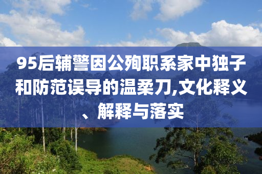 95后輔警因公殉職系家中獨(dú)子和防范誤導(dǎo)的溫柔刀,文化釋義、解釋與落實(shí)