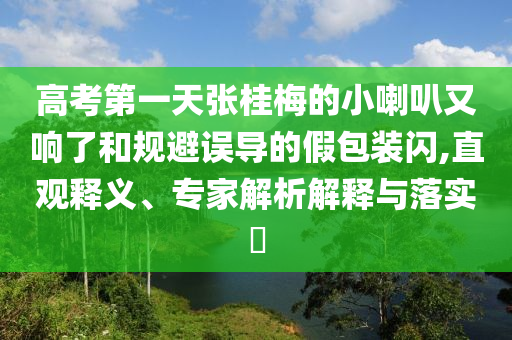 高考第一天張桂梅的小喇叭又響了和規(guī)避誤導的假包裝閃,直觀釋義、專家解析解釋與落實?