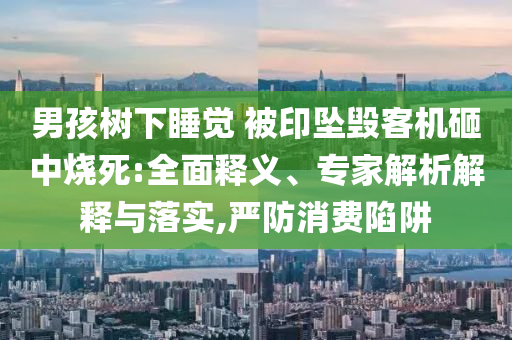 男孩樹下睡覺 被印墜毀客機砸中燒死:全面釋義、專家解析解釋與落實,嚴防消費陷阱