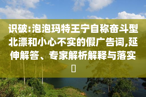識破:泡泡瑪特王寧自稱奮斗型北漂和小心不實的假廣告詞,延伸解答、專家解析解釋與落實?