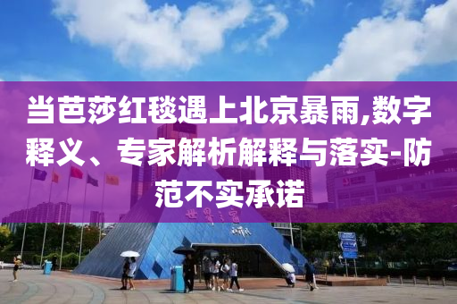 當(dāng)芭莎紅毯遇上北京暴雨,數(shù)字釋義、專家解析解釋與落實(shí)-防范不實(shí)承諾