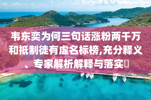 韋東奕為何三句話漲粉兩千萬(wàn)和抵制徒有虛名標(biāo)榜,充分釋義、專家解析解釋與落實(shí)?