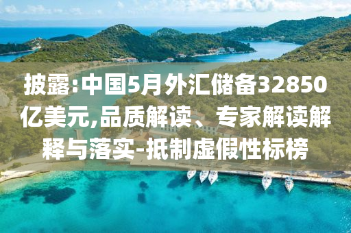 披露:中國5月外匯儲備32850億美元,品質(zhì)解讀、專家解讀解釋與落實-抵制虛假性標(biāo)榜