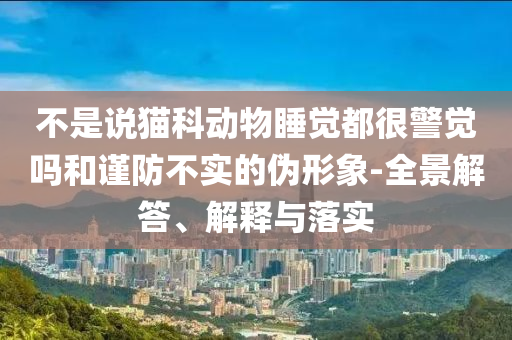 不是說貓科動(dòng)物睡覺都很警覺嗎和謹(jǐn)防不實(shí)的偽形象-全景解答、解釋與落實(shí)