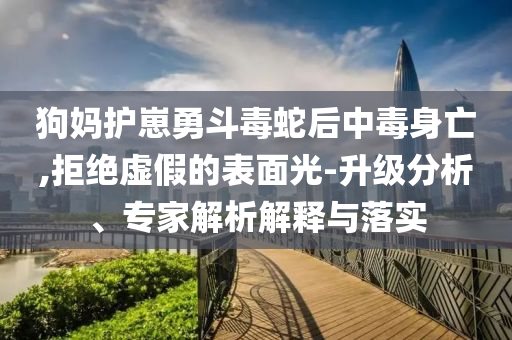狗媽護崽勇斗毒蛇后中毒身亡,拒絕虛假的表面光-升級分析、專家解析解釋與落實