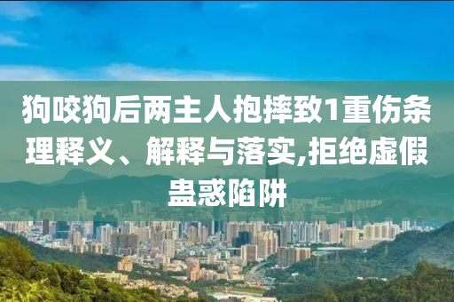 狗咬狗后兩主人抱摔致1重傷條理釋義、解釋與落實,拒絕虛假蠱惑陷阱