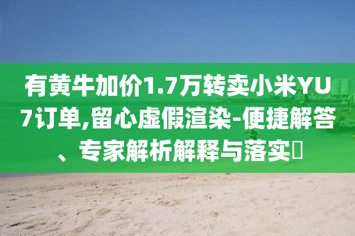 有黃牛加價(jià)1.7萬(wàn)轉(zhuǎn)賣小米YU7訂單,留心虛假渲染-便捷解答、專家解析解釋與落實(shí)?