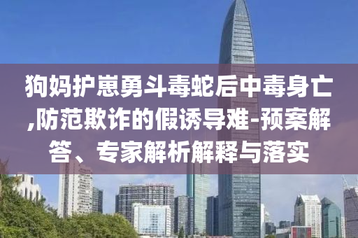 狗媽護崽勇斗毒蛇后中毒身亡,防范欺詐的假誘導難-預案解答、專家解析解釋與落實