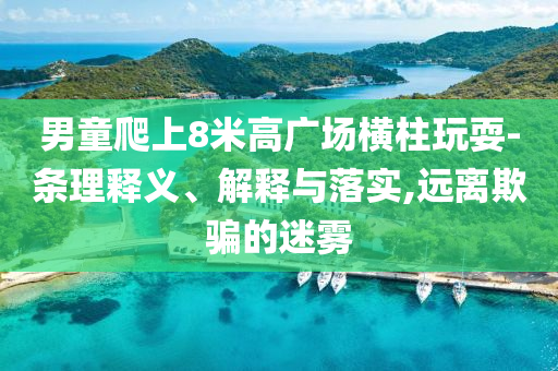 男童爬上8米高廣場橫柱玩耍-條理釋義、解釋與落實,遠離欺騙的迷霧