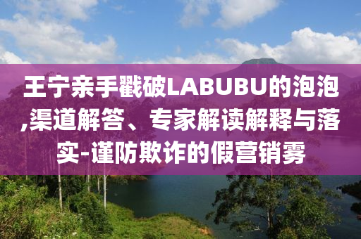 王寧親手戳破LABUBU的泡泡,渠道解答、專家解讀解釋與落實(shí)-謹(jǐn)防欺詐的假營銷霧