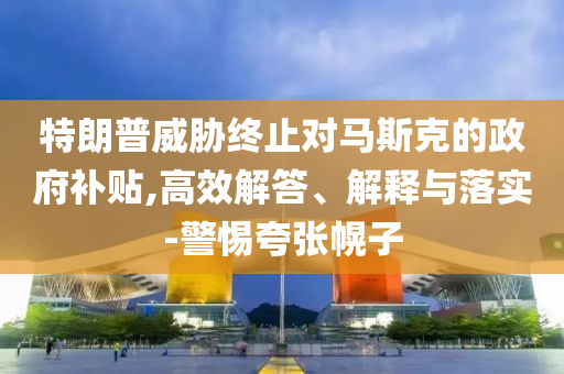 特朗普威脅終止對馬斯克的政府補(bǔ)貼,高效解答、解釋與落實-警惕夸張幌子