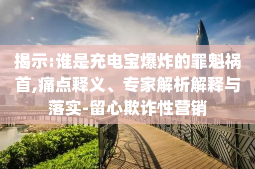 揭示:誰是充電寶爆炸的罪魁禍?zhǔn)?痛點釋義、專家解析解釋與落實-留心欺詐性營銷