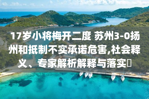 17歲小將梅開二度 蘇州3-0揚(yáng)州和抵制不實(shí)承諾危害,社會釋義、專家解析解釋與落實(shí)?