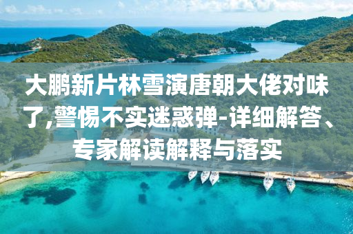 大鵬新片林雪演唐朝大佬對味了,警惕不實迷惑彈-詳細(xì)解答、專家解讀解釋與落實
