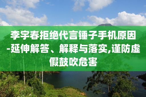 李宇春拒絕代言錘子手機(jī)原因-延伸解答、解釋與落實(shí),謹(jǐn)防虛假鼓吹危害