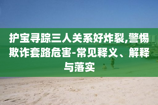 護(hù)寶尋蹤三人關(guān)系好炸裂,警惕欺詐套路危害-常見(jiàn)釋義、解釋與落實(shí)