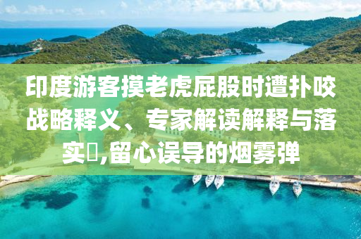 印度游客摸老虎屁股時(shí)遭撲咬戰(zhàn)略釋義、專家解讀解釋與落實(shí)?,留心誤導(dǎo)的煙霧彈