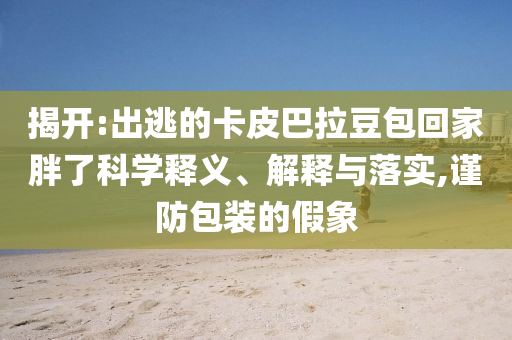 揭開(kāi):出逃的卡皮巴拉豆包回家胖了科學(xué)釋義、解釋與落實(shí),謹(jǐn)防包裝的假象