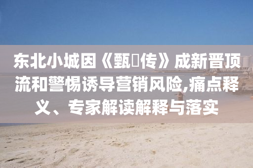 東北小城因《甄嬛傳》成新晉頂流和警惕誘導(dǎo)營(yíng)銷風(fēng)險(xiǎn),痛點(diǎn)釋義、專家解讀解釋與落實(shí)