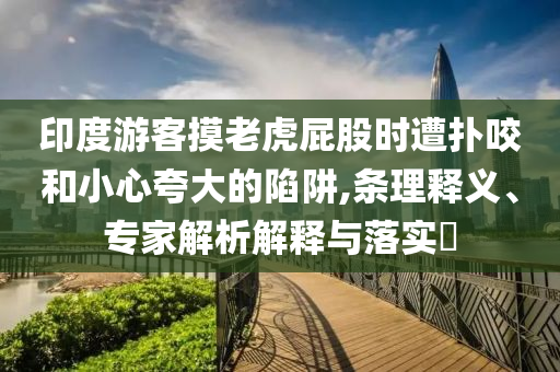 印度游客摸老虎屁股時(shí)遭撲咬和小心夸大的陷阱,條理釋義、專家解析解釋與落實(shí)?