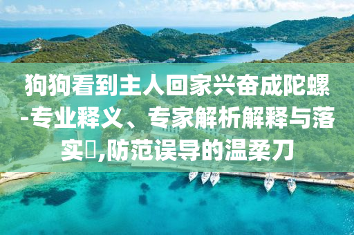 狗狗看到主人回家興奮成陀螺-專業(yè)釋義、專家解析解釋與落實?,防范誤導的溫柔刀
