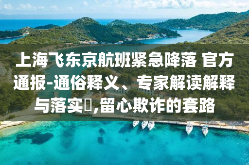 上海飛東京航班緊急降落 官方通報(bào)-通俗釋義、專家解讀解釋與落實(shí)?,留心欺詐的套路