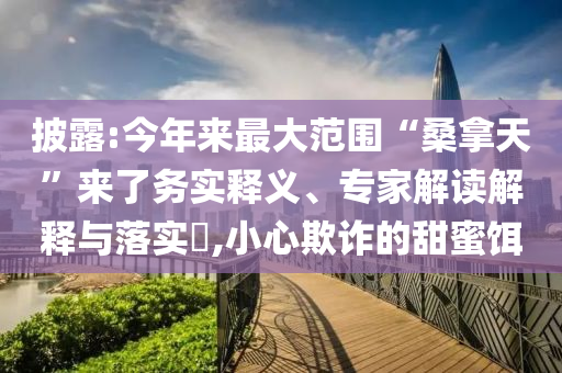 披露:今年來最大范圍“桑拿天”來了務(wù)實釋義、專家解讀解釋與落實?,小心欺詐的甜蜜餌