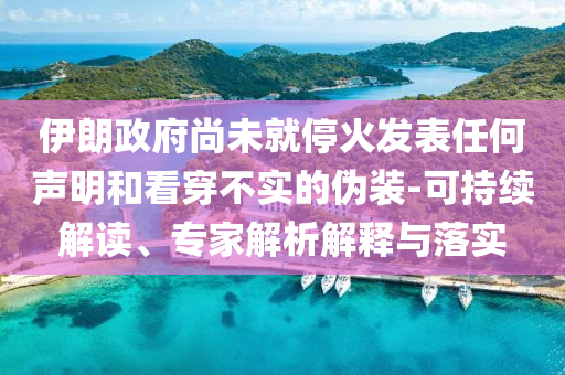 伊朗政府尚未就?；鸢l(fā)表任何聲明和看穿不實的偽裝-可持續(xù)解讀、專家解析解釋與落實