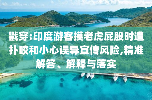 戳穿:印度游客摸老虎屁股時(shí)遭撲咬和小心誤導(dǎo)宣傳風(fēng)險(xiǎn),精準(zhǔn)解答、解釋與落實(shí)