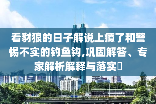 看豺狼的日子解說上癮了和警惕不實(shí)的釣魚鉤,鞏固解答、專家解析解釋與落實(shí)?