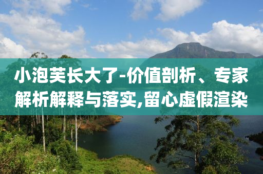 小泡芙長(zhǎng)大了-價(jià)值剖析、專家解析解釋與落實(shí),留心虛假渲染