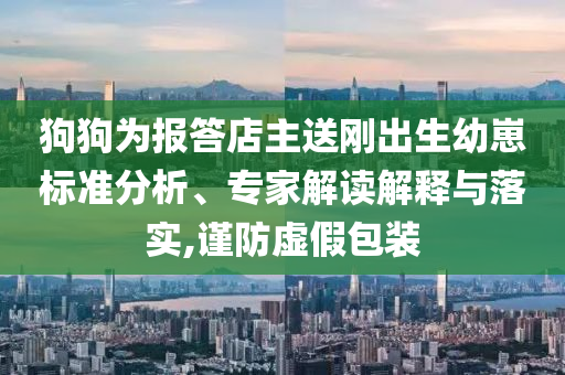 狗狗為報答店主送剛出生幼崽標(biāo)準(zhǔn)分析、專家解讀解釋與落實,謹(jǐn)防虛假包裝