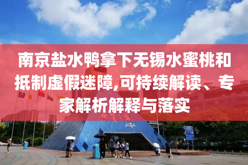南京鹽水鴨拿下無錫水蜜桃和抵制虛假迷障,可持續(xù)解讀、專家解析解釋與落實(shí)